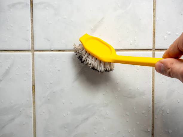 Best Professional Mold Removal  in Atwood, KS