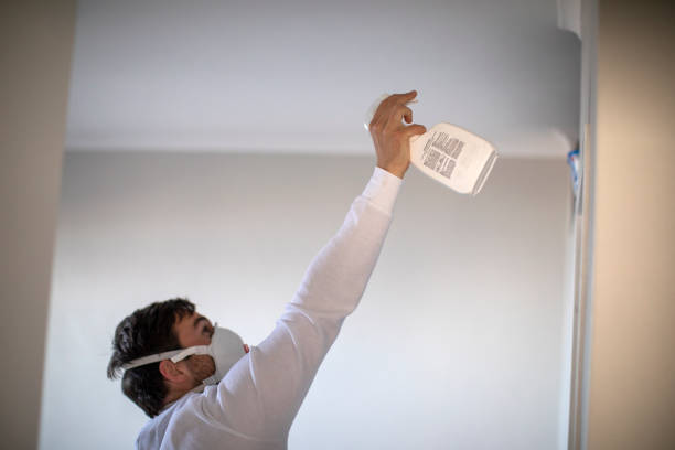 Best Attic Mold Removal  in Atwood, KS